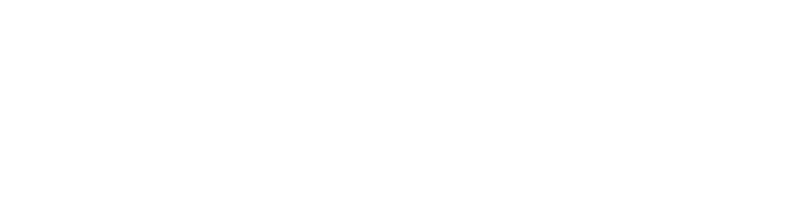 undangin.com logo